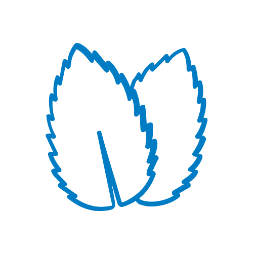 octenident-mundsp-ll-sung-hygienisch-frischer-atem-familie image 6